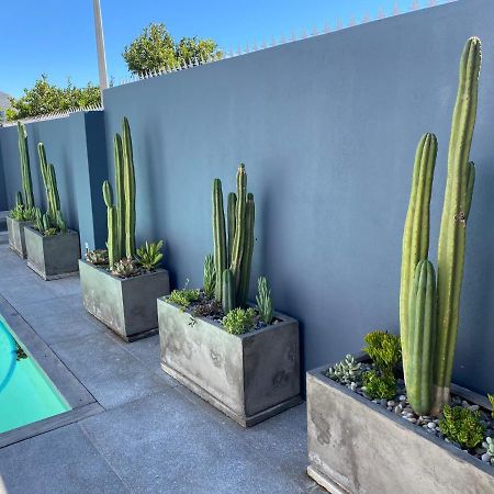 Splash Boutique Guesthouse Cape Town Bagian luar foto